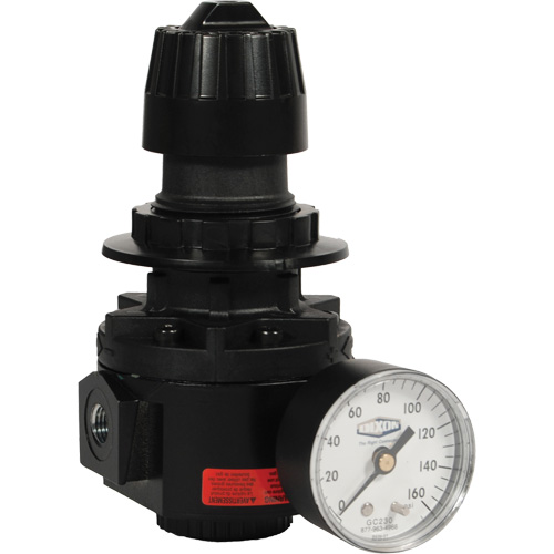 Wilkerson Regulator R26, 1/2" NPT, 300 psi Max. PSI, Standard Helyx Safety & Industrial Supplies