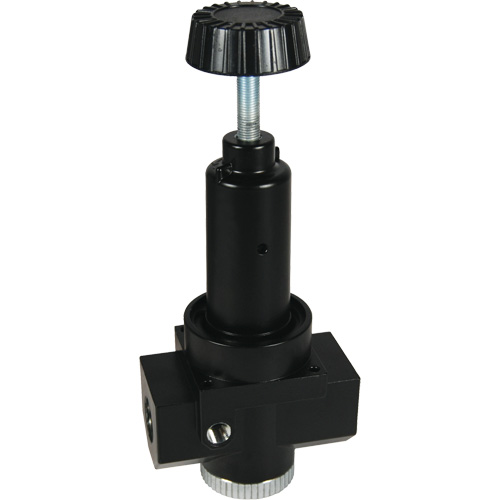 Wilkerson High Flow Regulator R30, 1" NPT, 300 psi Max. PSI, Standard Helyx Safety & Industrial Supplies