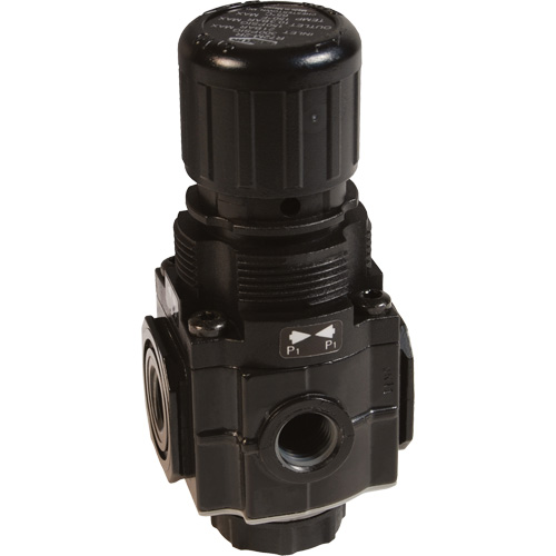 Series 1 Manifold Regulator, 1/4" NPT, 150 PSI Max. PSI, Standard Helyx Safety & Industrial Supplies