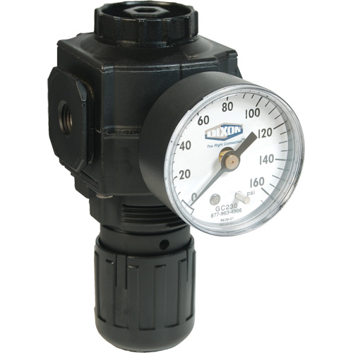 R&eacute;gulateur compact de s&eacute;rie 1, 1/2" NPT, PSI max. de 150 psi, Standard Helyx Safety & Industrial Supplies