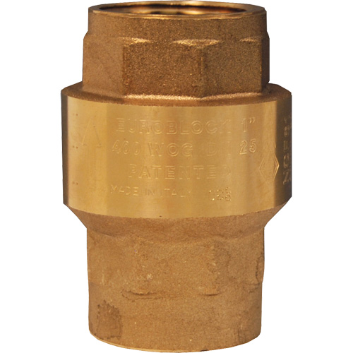 Horizontal Swing Check Valve Helyx Safety & Industrial Supplies