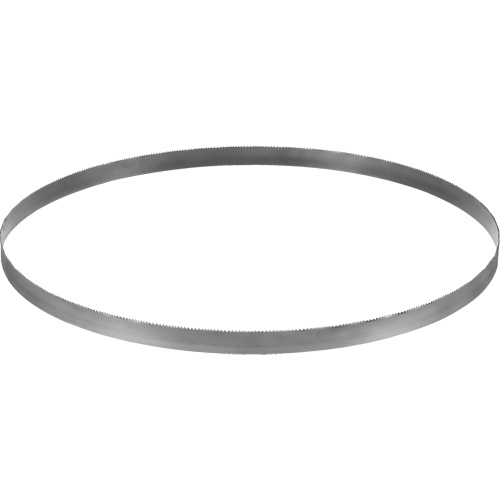 Cordless Band Saw Blade, Bi-Metal, 32-7/8" L x 0.02" Thick, 14-18 TPI Helyx Safety & Industrial Supplies