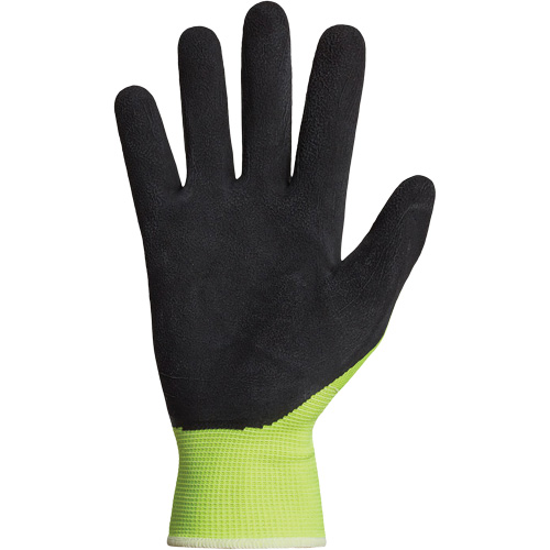 Dexterity&reg; Coated Gloves, 10, Latex Coating, 13 Gauge, Polyester Shell Helyx Safety & Industrial Supplies