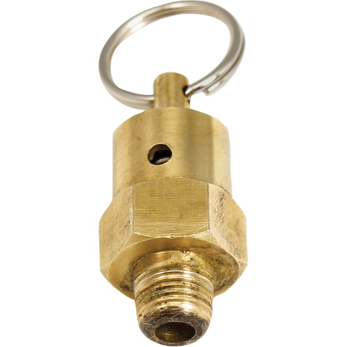 Soupape de rel&acirc;chement de pression Viton Helyx Safety & Industrial Supplies