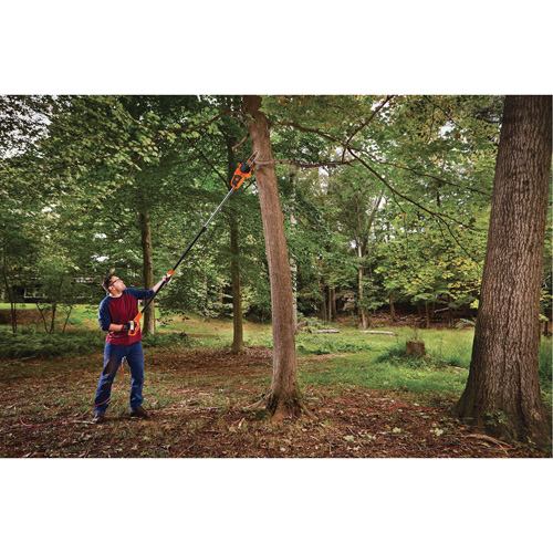 2-in-1 Pole Chainsaw Helyx Safety & Industrial Supplies