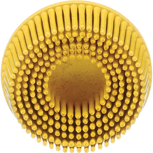 Scotch-Brite Roloc Bristle Disc, Ceramic, Medium Grit, 2" Dia. Helyx Safety & Industrial Supplies