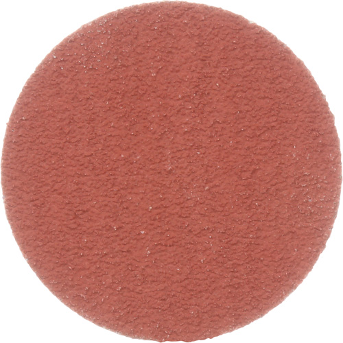 Cubitron II Roloc Durable Edge Disc, 2" Dia., 80+ Grit, Ceramic Helyx Safety & Industrial Supplies