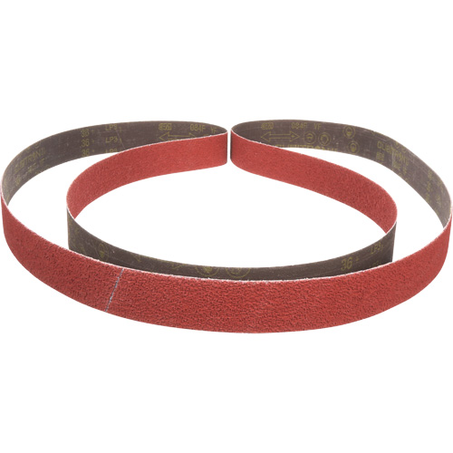 Cubitron II 984F Abrasive Belt, 2" W x 132" L, Ceramic, 36+ Grit Helyx Safety & Industrial Supplies