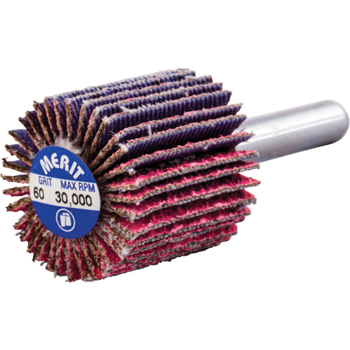 Mini-meule &agrave; lamelles mont&eacute;e sur tige, C&eacute;ramique d'alumine, Grain 60, 1" x 1" x 1/4" Helyx Safety & Industrial Supplies