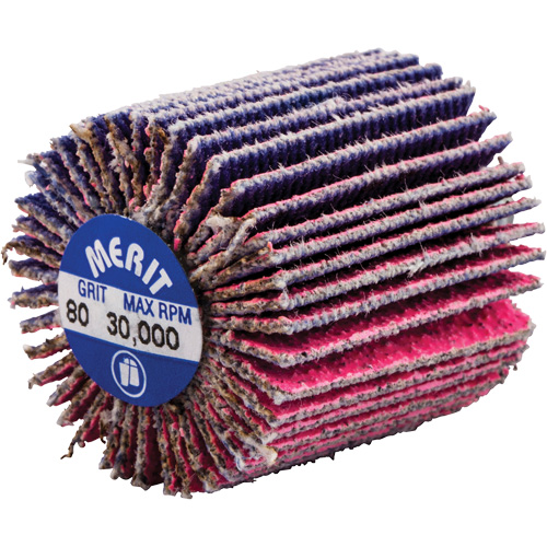Threaded Mini Flap Wheel, Ceramic Alumina, 80 Grit, 1" x 1" x 1/4"-20 Helyx Safety & Industrial Supplies