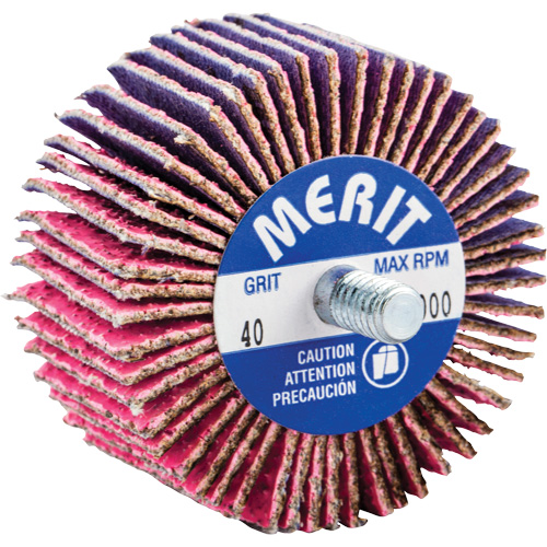 Mini-meule &agrave; lamelles filet&eacute;es, C&eacute;ramique d'alumine, Grain 40, 2" x 1" x 1/4"-20 Helyx Safety & Industrial Supplies