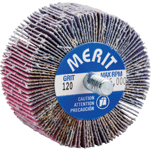 Threaded Mini Flap Wheel, Ceramic Alumina, 120 Grit, 2" x 1" x 1/4"-20 Helyx Safety & Industrial Supplies