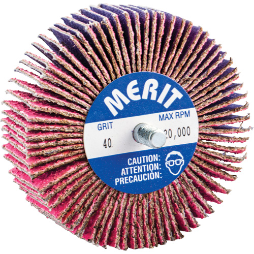 Threaded Mini Flap Wheel, Ceramic Alumina, 40 Grit, 3" x 1" x 1/4"-20 Helyx Safety & Industrial Supplies