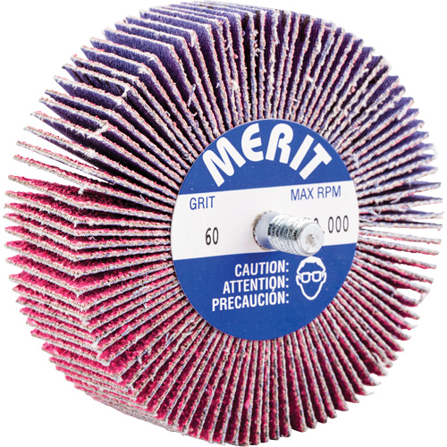 Threaded Mini Flap Wheel, Ceramic Alumina, 60 Grit, 3" x 1" x 1/4"-20 Helyx Safety & Industrial Supplies