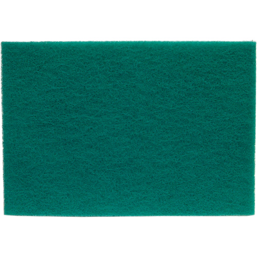 Tampons manuels Bear-Tex, Oxyde d'aluminium, 6" x 9", Grain Tr&egrave;s fin Helyx Safety & Industrial Supplies