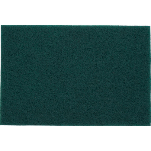 Tampons manuels Bear-Tex, Oxyde d'aluminium, 6" x 9", Grain Tr&egrave;s fin Helyx Safety & Industrial Supplies
