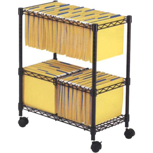 File Carts- 2-tier Rolling File Cart Helyx Safety & Industrial Supplies