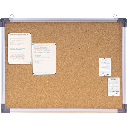 Tableau de li&egrave;ge, 18" h x 24" la Helyx Safety & Industrial Supplies