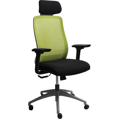 Chaise de bureau ajustable s&eacute;rie Era avec appui-t&ecirc;te, Tissu/Mailles, Vert, Capacit&eacute; 275 lb Helyx Safety & Industrial Supplies