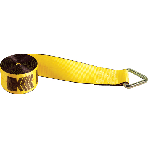 Winch Straps, Delta Ring, 4" W x 30' L, 5400 lbs. (2450 kg) Working Load Limit Helyx Safety & Industrial Supplies