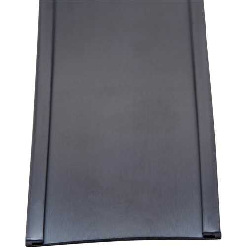 Porte-&eacute;tiquette, Magn&eacute;tique, 600" lo x 2" la Helyx Safety & Industrial Supplies