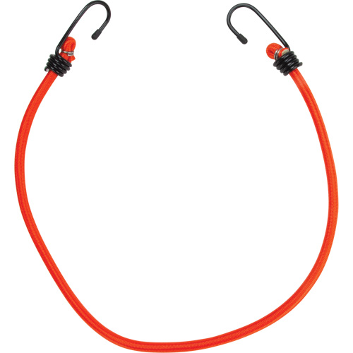 Bungee Cord Tie Downs, 24" Helyx Safety & Industrial Supplies