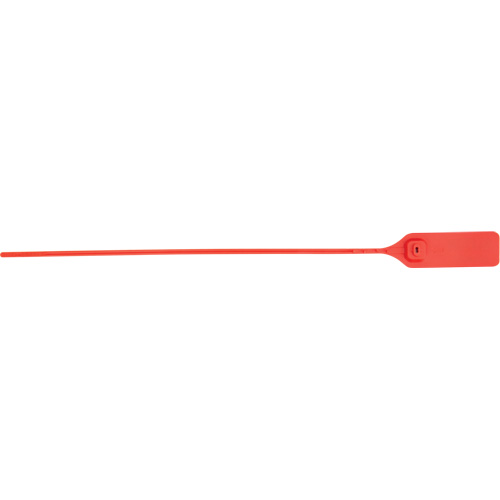 Scell&eacute; de s&eacute;curit&eacute; robuste, 13", Plastique, Scell&eacute; &agrave; tirer Helyx Safety & Industrial Supplies