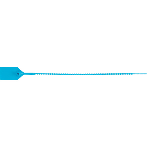 Standard-Duty Security Seal, 12", Plastic, Plastic Seal Helyx Safety & Industrial Supplies