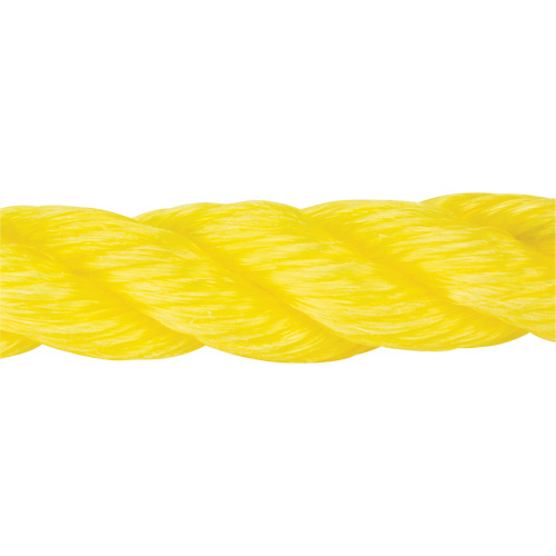 Corde jaune tress&eacute;e, Polypropyl&egrave;ne, 300' Helyx Safety & Industrial Supplies