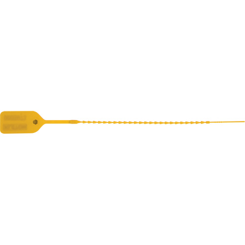 Scell&eacute; de s&eacute;curit&eacute; standard, 9", Plastique, Pousser et tirer Helyx Safety & Industrial Supplies