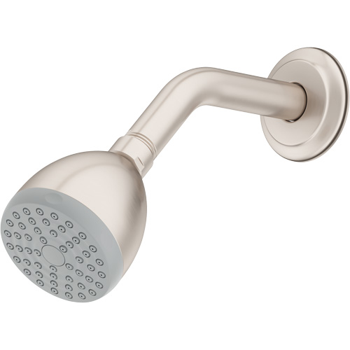One-Function Showerhead Helyx Safety & Industrial Supplies