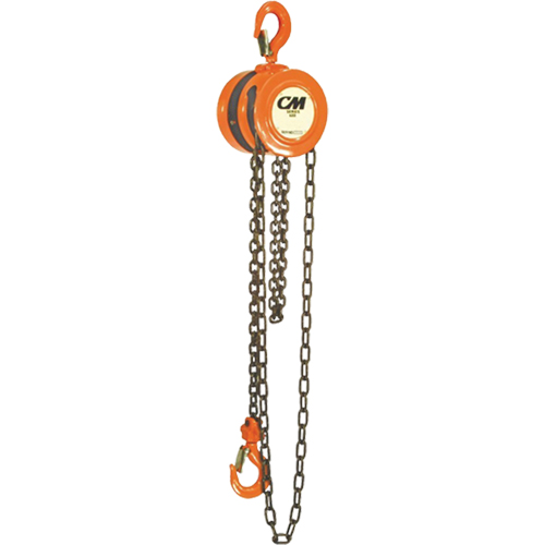 Chain Hoist, 10' Lift, 4000 lbs. (2 tons) Capacity, Steel Chain Helyx Safety & Industrial Supplies