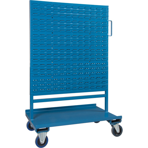 Support combin&eacute; bac/panneau perfor&eacute;, &agrave; deux c&ocirc;t&eacute;s, 38" la x 24-1/2" p x 55" h Helyx Safety & Industrial Supplies