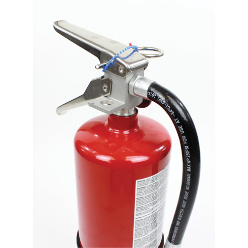 Extincteur d'incendie, ABC, Capacit&eacute; 10 lb Helyx Safety & Industrial Supplies