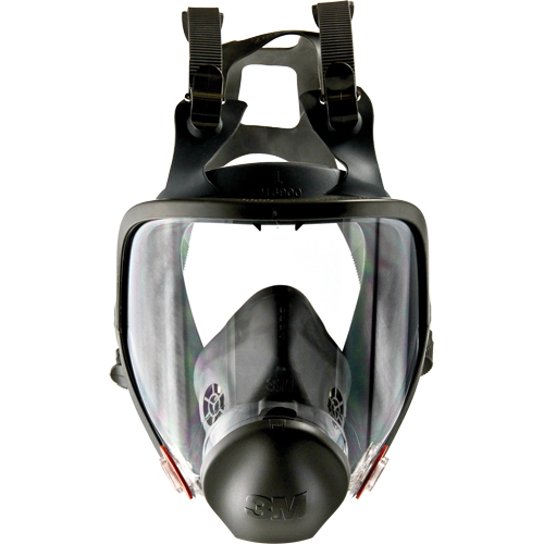 Powerflow Face-Mounted Powered Air Purifying Respirator (PAPR), Elastomer/Silicone/Thermoplastic, Large Helyx Safety & Industrial Supplies