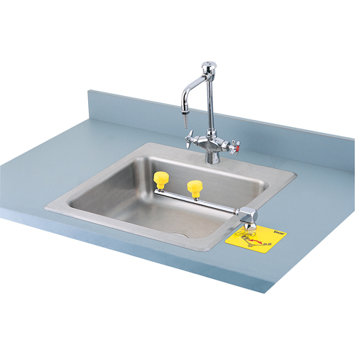 Swing-Away Eyewash Station, Counter-Mount Installation Helyx Safety & Industrial Supplies
