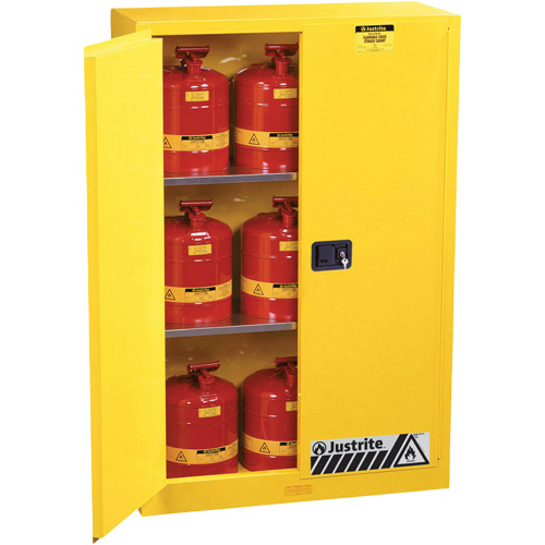 Armoires Sure-Grip EX pour produits inflammables, 45 gal., 2 Porte(s), 43" La x 65" h x 18" p Helyx Safety & Industrial Supplies