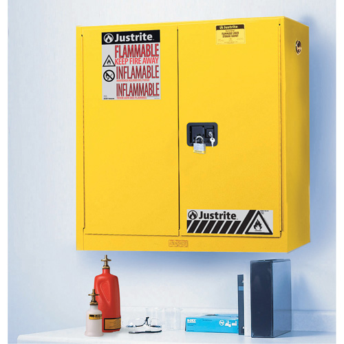 Armoires de s&eacute;curit&eacute; murales Sure-Grip EX, 20 gal., 2 Porte(s), 43" La x 44" h x 12" p Helyx Safety & Industrial Supplies