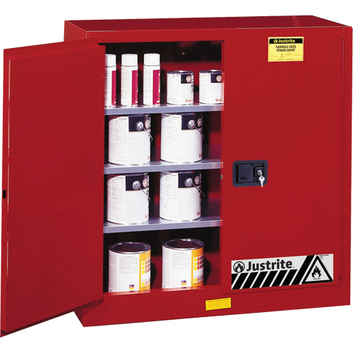 Armoire de s&eacute;curit&eacute; pour la peinture et les encres combustibles EX Sure-Grip, 40 gal., 3 tablettes Helyx Safety & Industrial Supplies