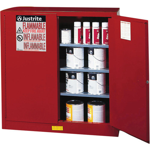 Armoire de s&eacute;curit&eacute; pour la peinture et les encres combustibles EX Sure-Grip, 40 gal., 3 tablettes Helyx Safety & Industrial Supplies