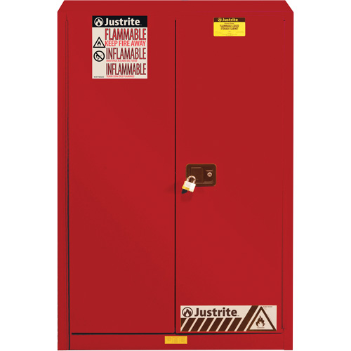 Sure-Grip&reg; EX Combustibles Safety Cabinet for Paint and Ink, 60 gal., 5 Shelves Helyx Safety & Industrial Supplies
