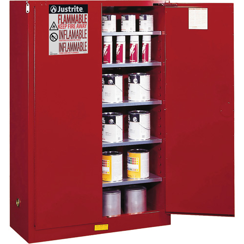 Sure-Grip&reg; EX Combustibles Safety Cabinet for Paint and Ink, 60 gal., 5 Shelves Helyx Safety & Industrial Supplies