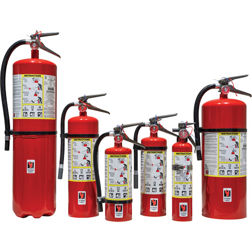 Extincteur d'incendie, ABC, Capacit&eacute; 2,5 lb Helyx Safety & Industrial Supplies