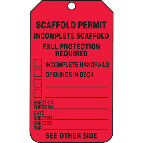Inspection Tags, Plastic, 3-3/8" W x 5-7/8" H, English Helyx Safety & Industrial Supplies