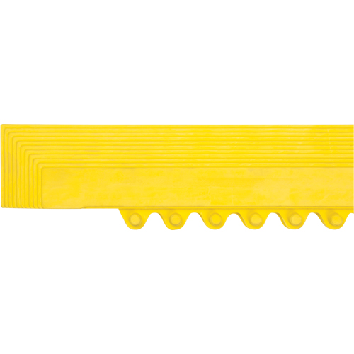 Border Ramp for Matting Helyx Safety & Industrial Supplies