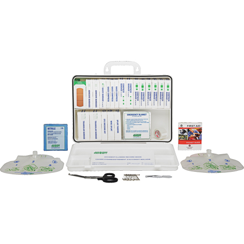 Specialty First Aid Kit, Class 1 Medical Device, Plastic Box Helyx Safety & Industrial Supplies