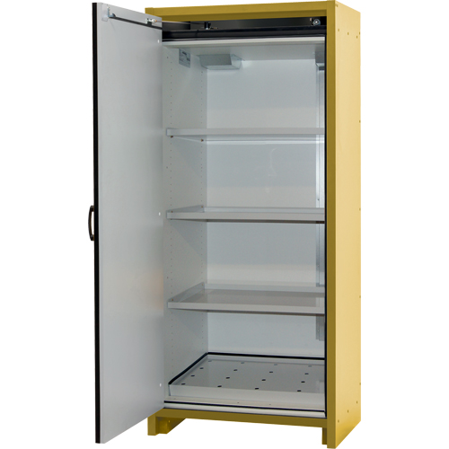 30-Minute EN Safety Storage Cabinet, 30 gal., 1 Door, 34.02" W x 76.65" H x 24.21" D Helyx Safety & Industrial Supplies