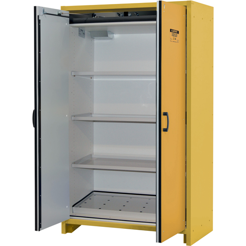 30-Minute EN Safety Storage Cabinet, 45 gal., 2 Door, 45.83" W x 76.65" H x 24.21" D Helyx Safety & Industrial Supplies