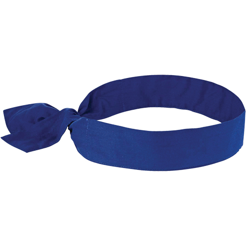 Chill-its&reg; 6700 Cooling Bandanas, Blue Helyx Safety & Industrial Supplies