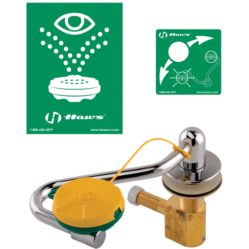 Poste de douche oculaire/faciale, Installation Montage sur &eacute;vier Helyx Safety & Industrial Supplies